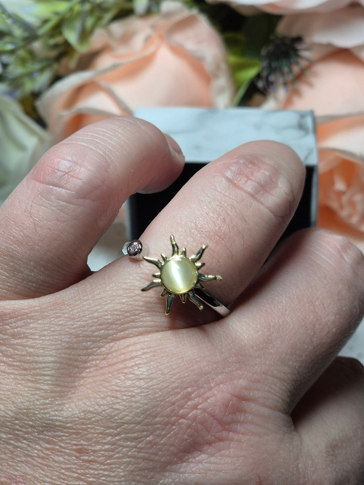 Spinning Ringe - viele verschiedene Varianten