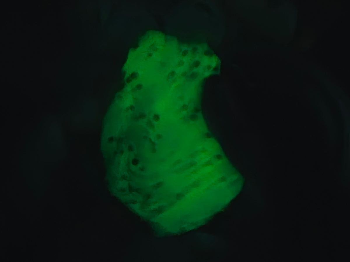 Putty Knete nachtleuchtend