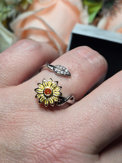 Spinning Ringe - viele verschiedene Varianten