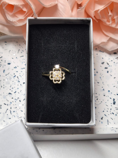 Spinning Ringe - viele verschiedene Varianten