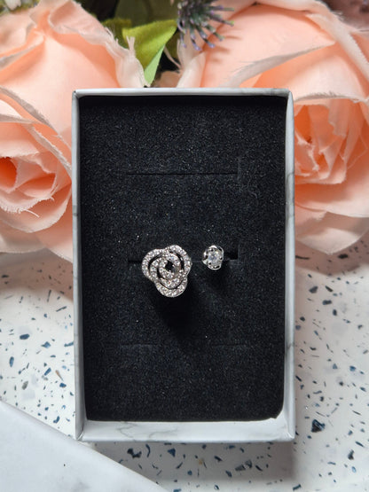 Spinning Ringe - viele verschiedene Varianten
