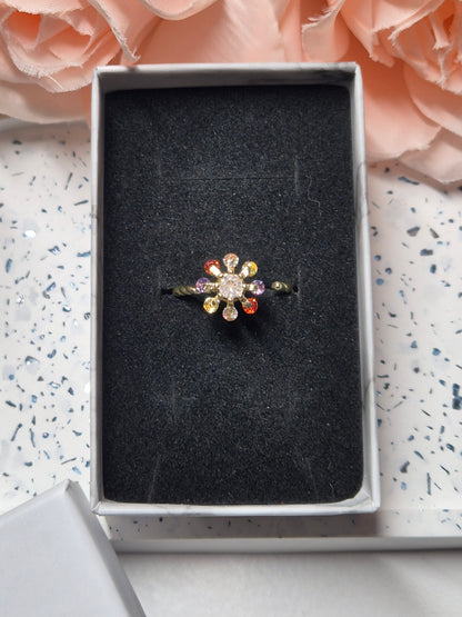 Spinning Ringe - viele verschiedene Varianten