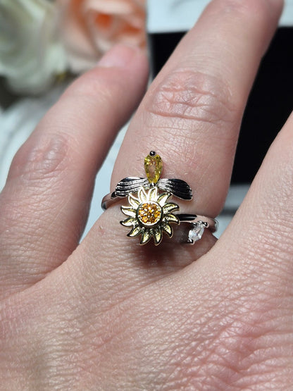 Spinning Ringe - viele verschiedene Varianten
