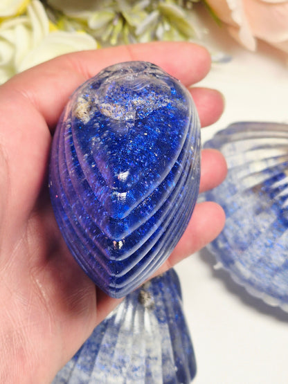Stressball Sugar-Seashell