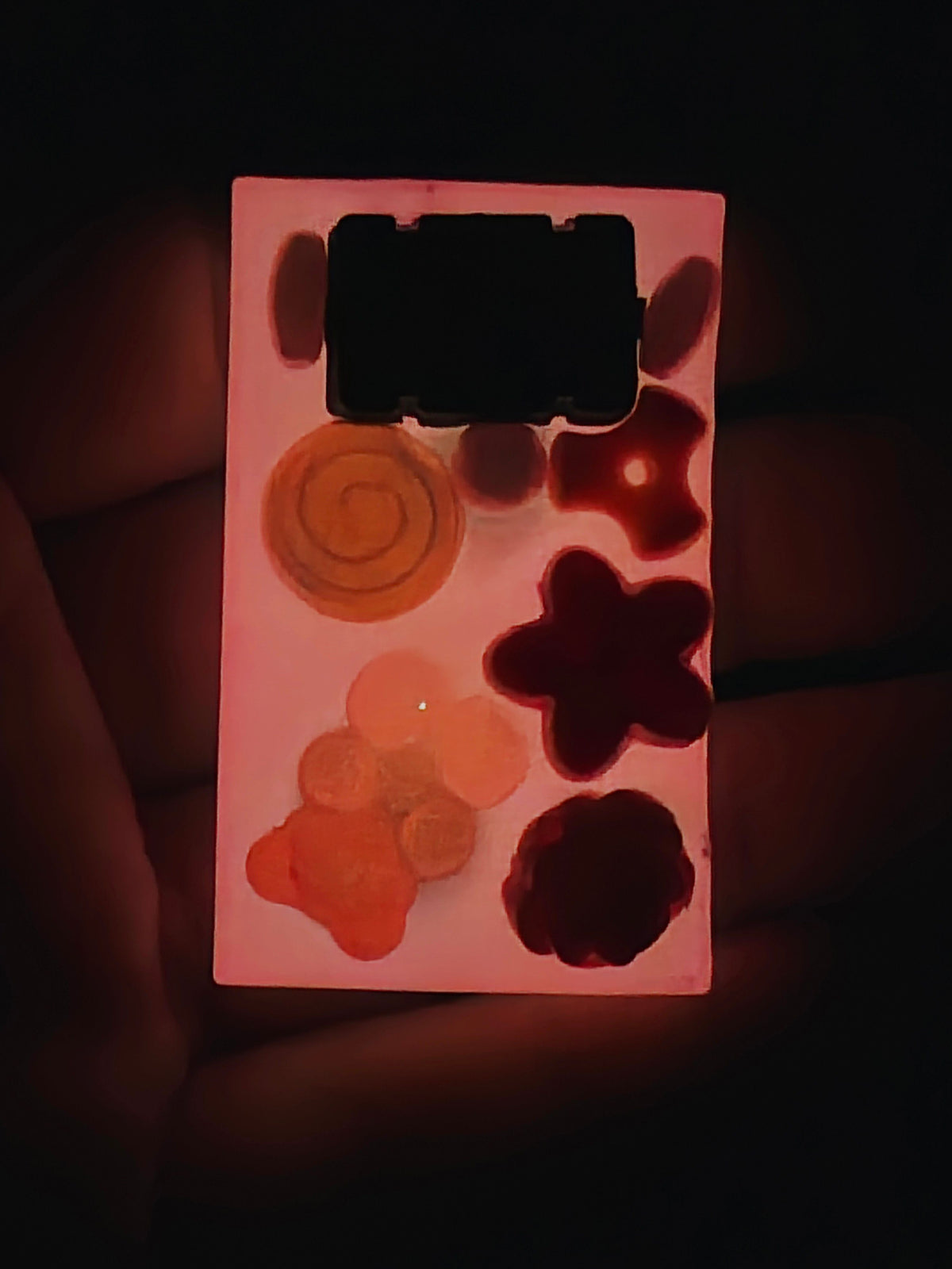 Stim Fidget Cheesy