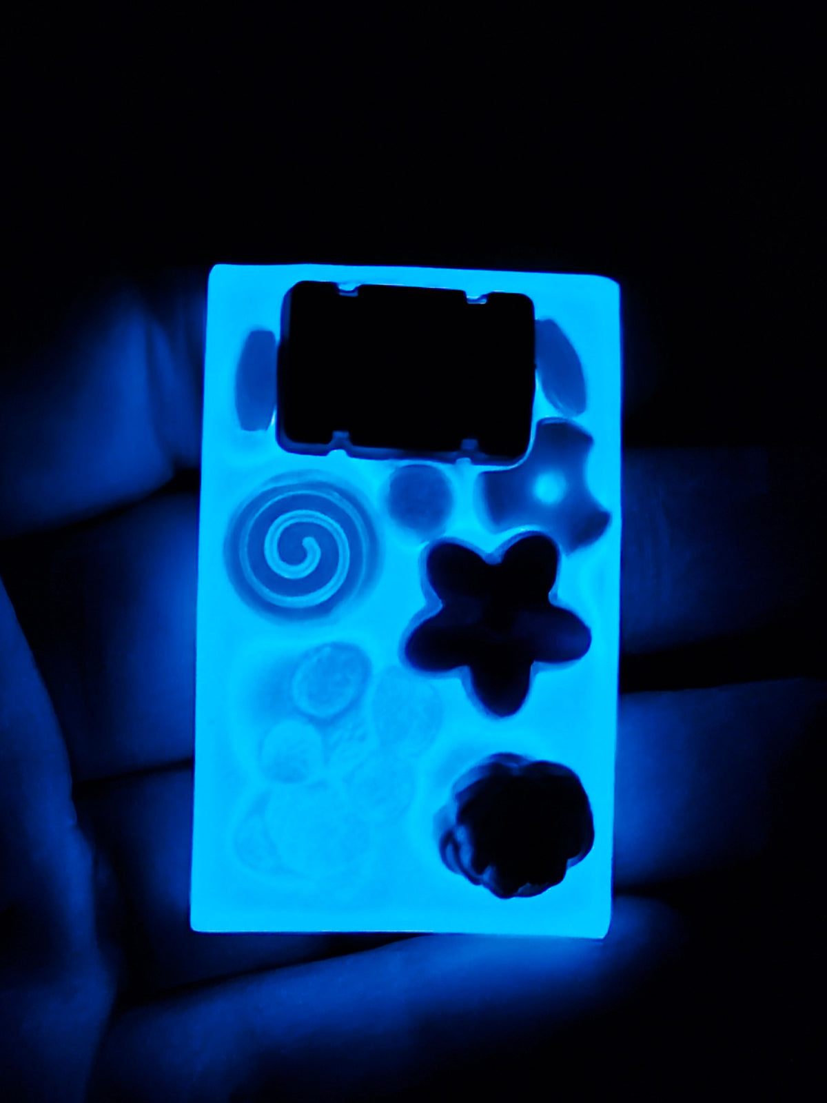 Stim Fidget Cheesy